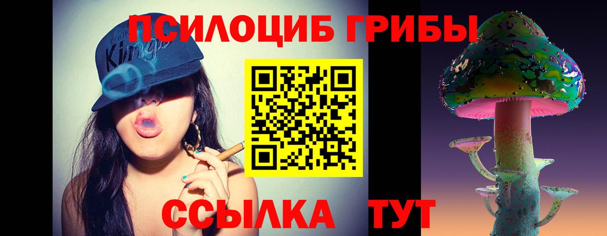 Псилоцибиновые грибы мицелий Муром